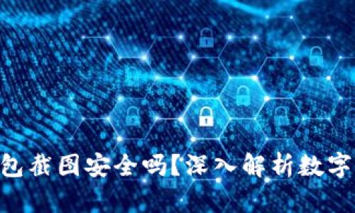 Tokenim钱包截图安全吗？深入解析数字资产安全性